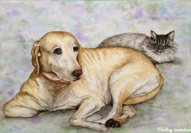 Dog and Cat