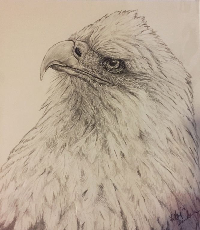 eagle.k.jpg