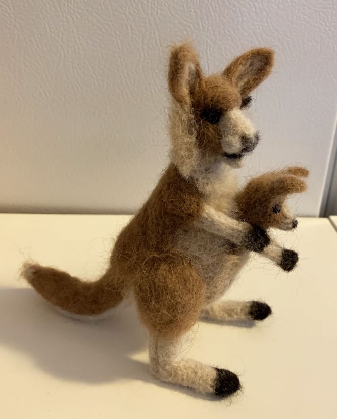 kangaroo.jpg