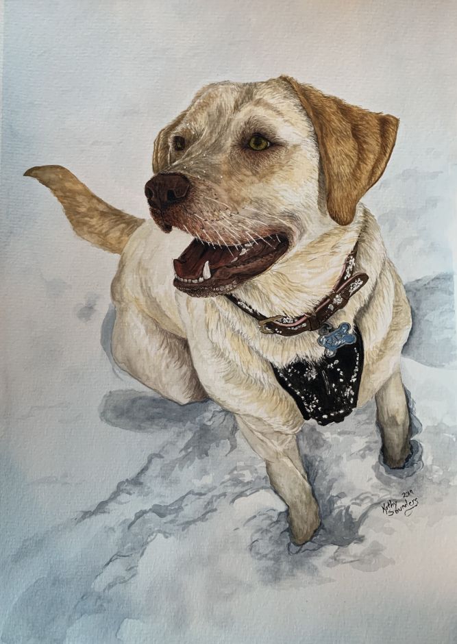 pet-portrait-4.jpg